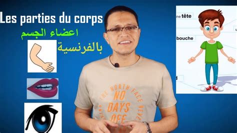 Les Parties Du Corps Youtube