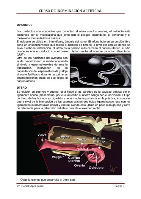 Curso De Inseminacion Artificial Dr Otoniel L Pez Pdf