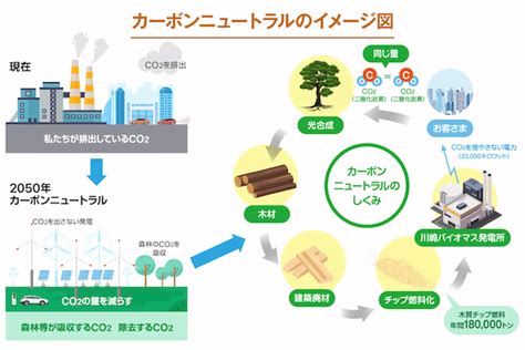 カーボンニュートラルは企業になぜ必要？メリットと事例紹介 Koto Online