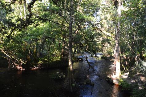 Hillsborough River State Park: Rapids Trail and Florida Trail Loop ...