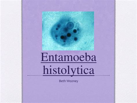 Entamoeba Histolytica Ppt