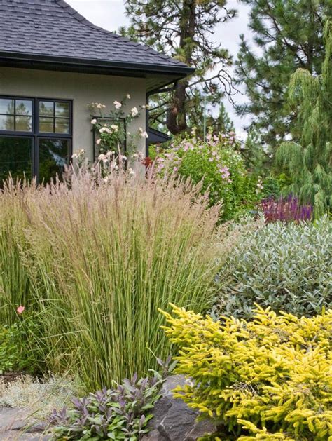 Ornamental Grasses You Simply Must Have The Pecks