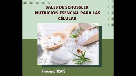 Sales de Schussler Nutrición esencial para las Células YouTube