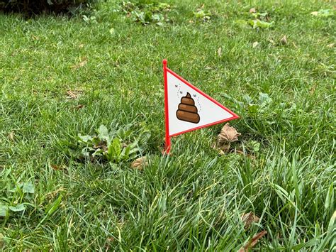 Ploërmel Déjections canines un rappel à l ordre insolite Les