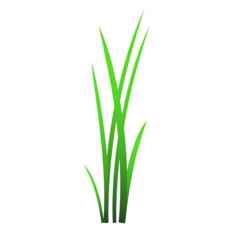 Blades Of Grass PNG