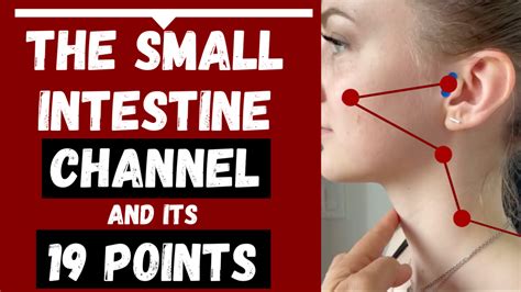 The Small Intestine Meridian and its 19 Acupuncture Points