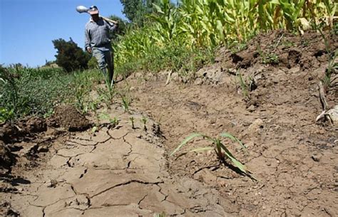 Uruguay Declaró La Emergencia Agropecuaria Por La Sequía En 5