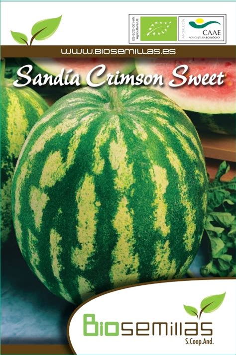 Sandia Crimson Sweet Biosemillas Almería Coop