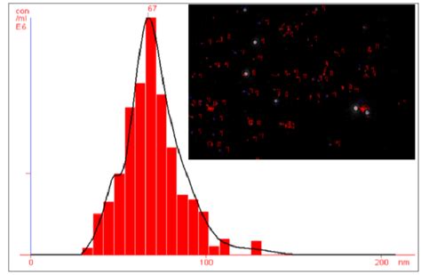 Particle Size Distribution Histogram Of Silver Nanoparticles Analyzed