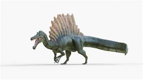 3d Spinosaurus Rigged And Animated Turbosquid 2093172