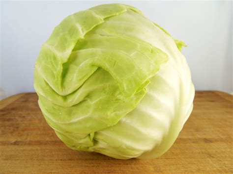 How Do You Freeze Cabbage Frozen Meals Food Saver Save Food