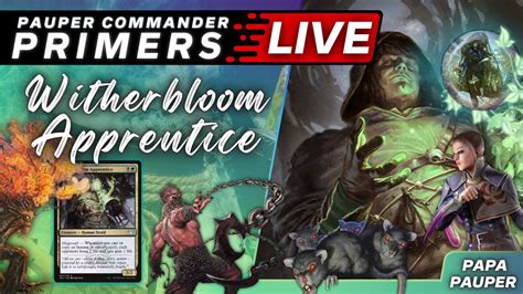 Pauper Commander Primers Witherbloom Apprentice Grindy Golgari