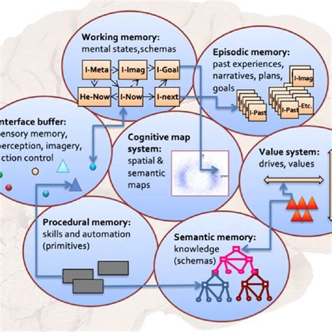 A Bird Eye View Of The EBICA Cognitive Architecture 4 Including 7