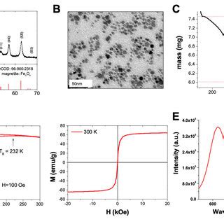 Characterization Of Polyacrylic Acid PAA Functionalized Magnetite