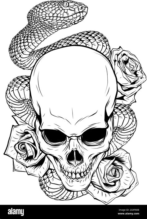 Vector Illustration Of Skull Roses And Snake Stock Vector Image Art