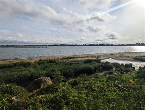 History & Context — Guardians of Flushing Bay