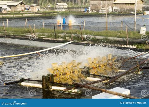 Fish pond aeration stock image. Image of water, farm - 64360289