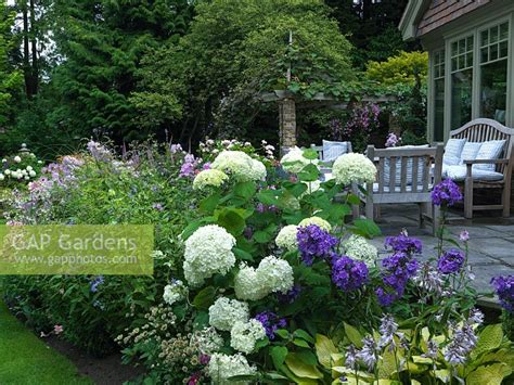 Hosta Hydrangea Border Creating A Hydrangea Garden Design Can Include