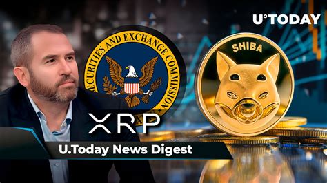 Ripple CEO Celebrates Historic XRP SEC Ruling Shiba Inu To Reveal Rare