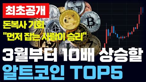 비트코인 전망 슈퍼사이클 3월부터 10배 상승할 유망 알트코인 Top5 Youtube