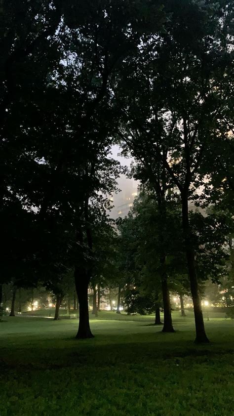 Central Park at night | Travel photography, Central park, New york city