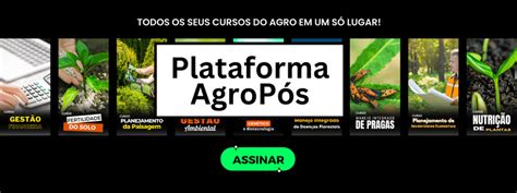 13 tipos de solo que você precisa conhecer AgroPós