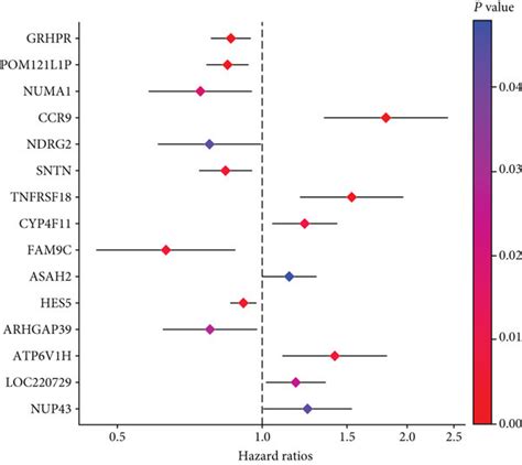 Construction And Validation Of The Prognostic Panel The Univariate Cox