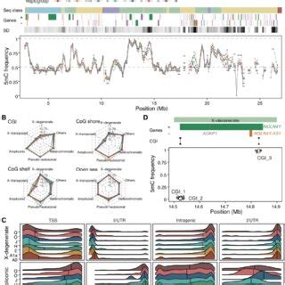 Methylation Landscape Across The Y Chromosome Phylogeny A Frequency