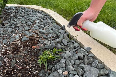 8 Weed-Killing Mistakes You're Probably Making in Your Yard
