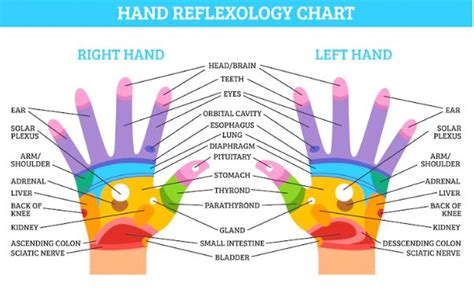 DIY reflexológia Napidoktor