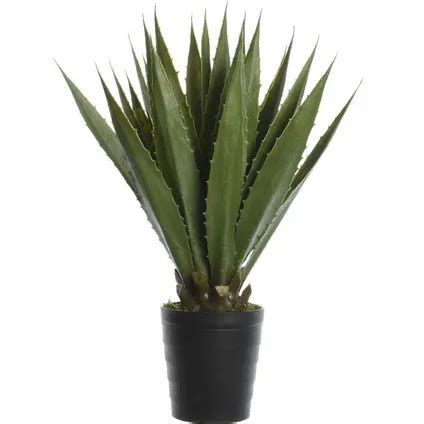 Bellatio Fleurs Et Plantes Plante Artificielle Agave Vert 85 Cm