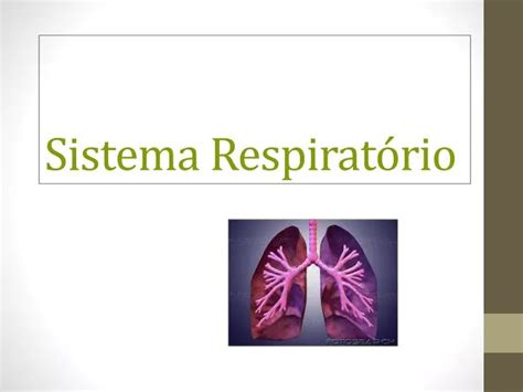 PPT Sistema Respiratório PowerPoint Presentation free download ID