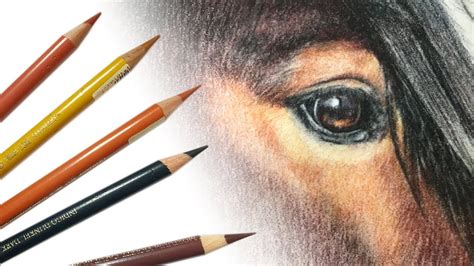 Top How To Draw A Horse Eye of the decade The ultimate guide | drawpen1