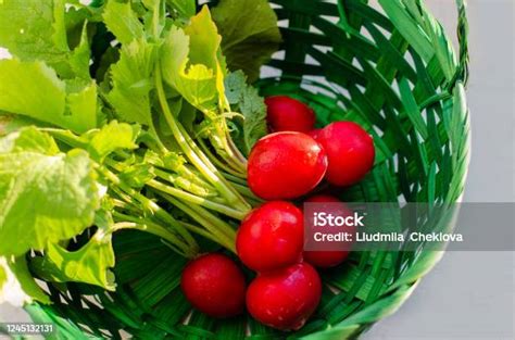 Lobak Merah Organik Segar Dengan Daun Hijau Di Atas Meja Tampilan Atas