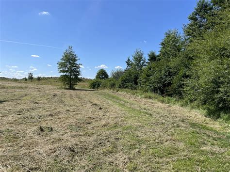 Margins Of Trumpington Meadows Mr Ignavy Geograph Britain And Ireland