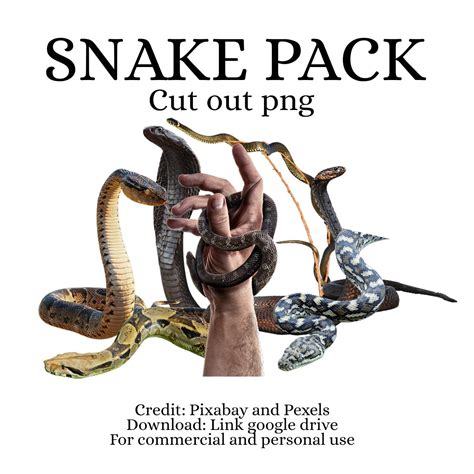 [ FREE ] SNAKE PACK CUT OUT PNG ( 7 PNG ) by sorawi25th on DeviantArt