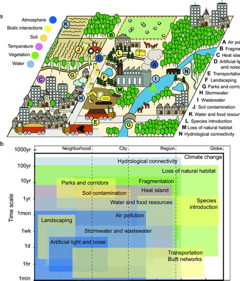 Agents And Scales Of Urban Eco Evolutionary Change Panel A Shows The