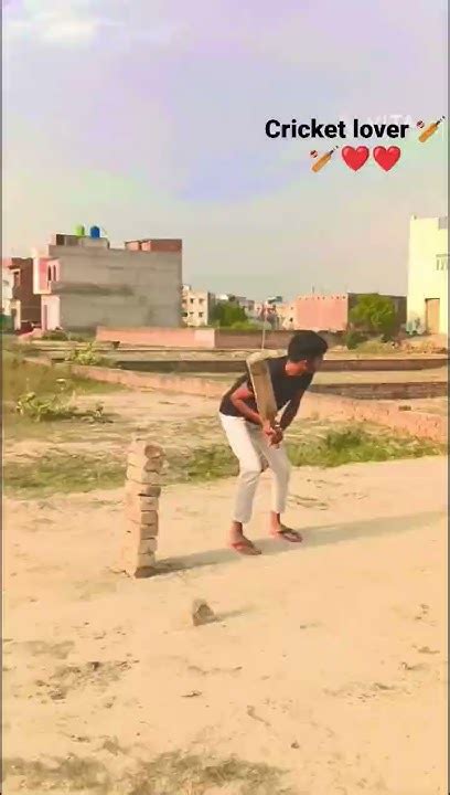 Cricket Lover 🏏🏏🏏🏏 Youtube