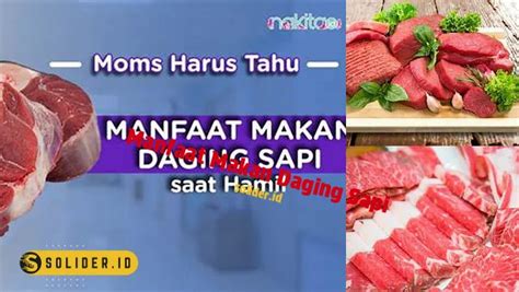 Temukan 9 Manfaat Makan Daging Sapi Yang Jarang Diketahui Solider