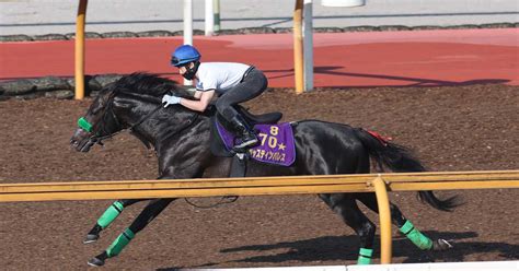 【宝塚記念】2週前追い ジャスティンパレスはcwコースで馬なりラスト11秒5 サンスポzbat