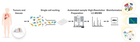 Single-Cell Proteomics With Spatial Attributes: Tools And, 51% OFF