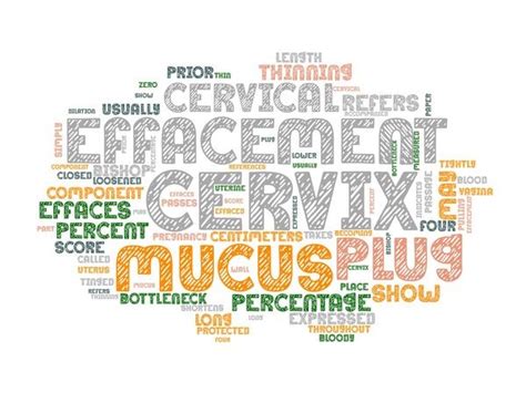 Cervical Effacement Wordcloud Background Graphic by laurenejlevinson ...