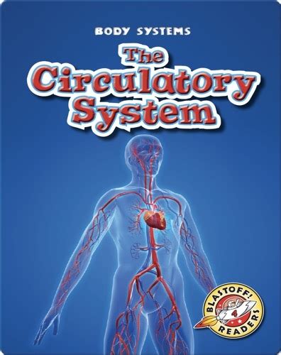 Circulatory System Childrens Book Collection Discover Epic Children