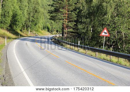 Norway Moose Image & Photo (Free Trial) | Bigstock