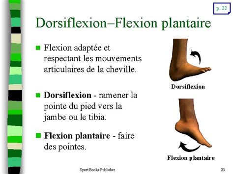 Unit Anatomie De Lactivit Physique