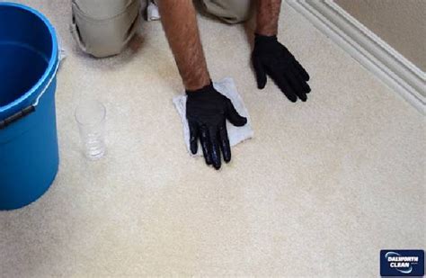 Carpet Odor Removal Services Dallas Fort Worth Dalworth Clean