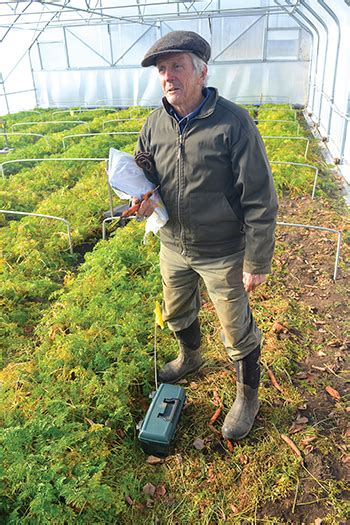 Trap boxes for the scourge of winter growing- voles