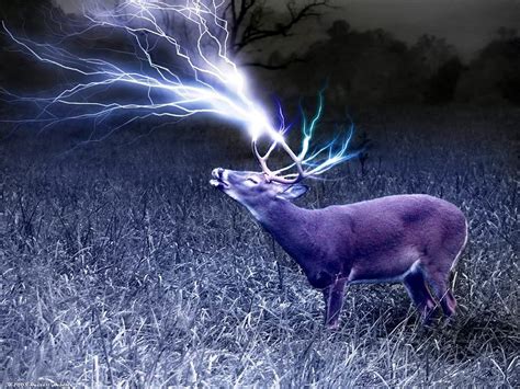 Cool Deer Wallpapers - WallpaperSafari