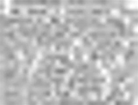 What Does Abercrombie and Fitch Have To Do With Old Guns? | Rock Island