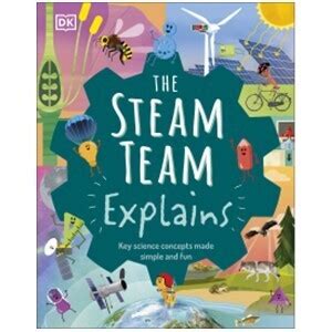 steam team explains